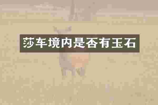 莎车境内是否有玉石