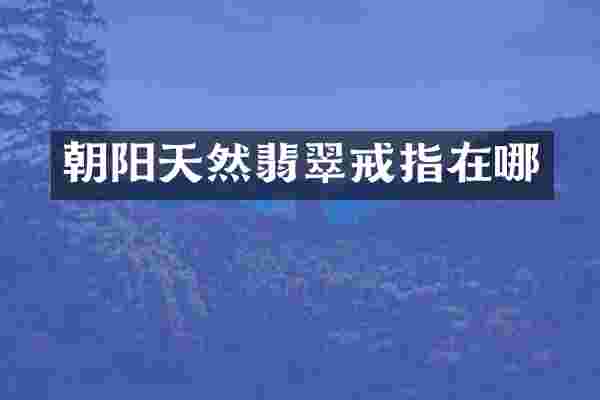 朝阳天然翡翠戒指在哪