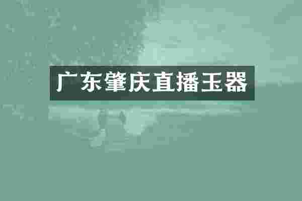 广东肇庆直播玉器