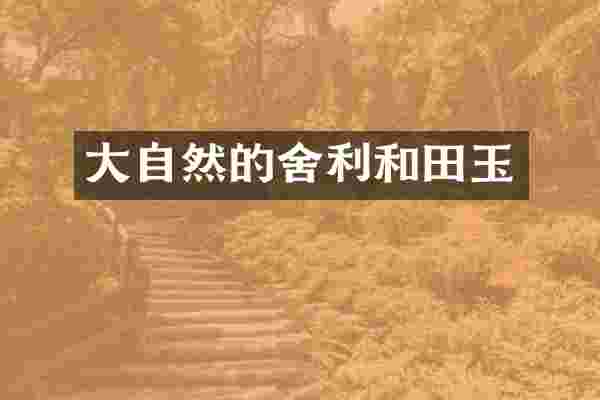 大自然的舍利和田玉