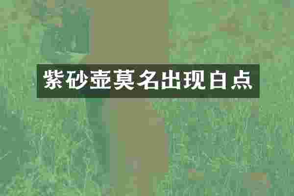 紫砂壶莫名出现白点