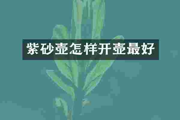 紫砂壶怎样开壶最好