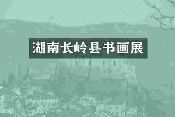 湖南长岭县书画展