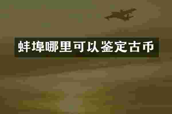 蚌埠哪里可以鉴定古币