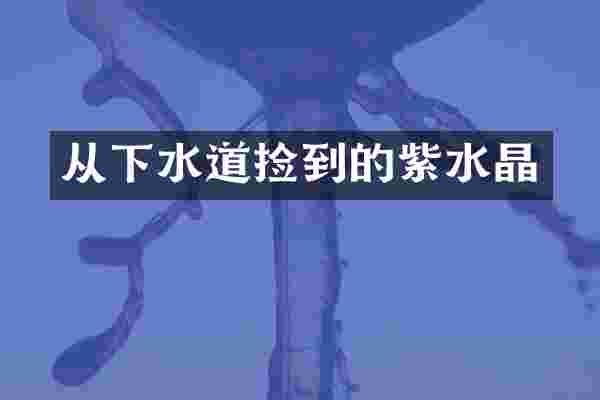 从下水道捡到的紫水晶