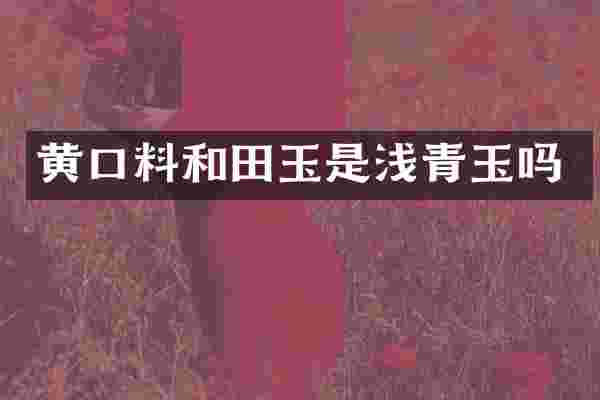 黄口料和田玉是浅青玉吗