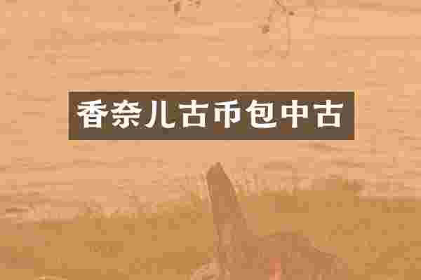 香奈儿古币包中古