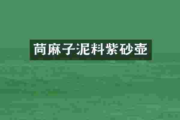 苘麻子泥料紫砂壶