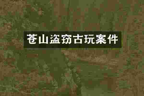 苍山盗窃古玩案件