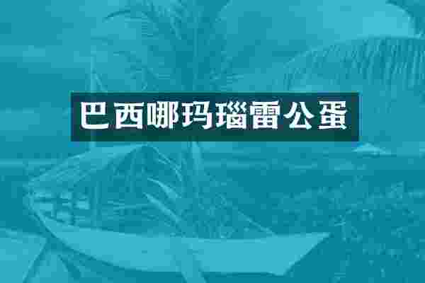 巴西哪玛瑙雷公蛋