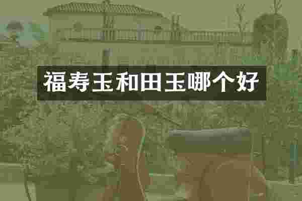 福寿玉和田玉哪个好