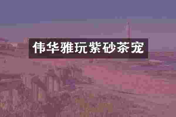 伟华雅玩紫砂茶宠