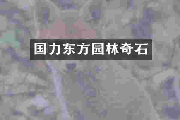 国力东方园林奇石