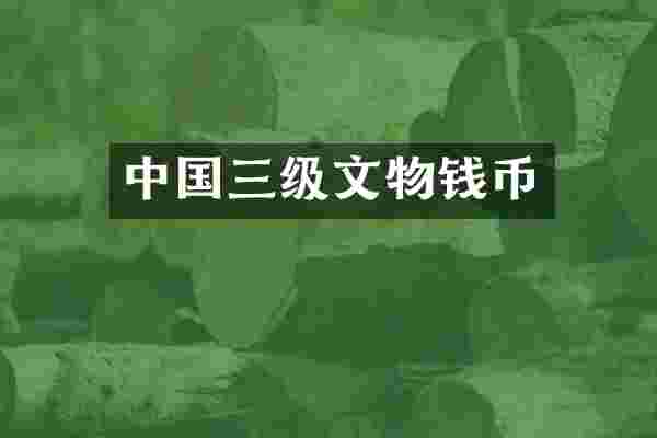 中国三级文物钱币