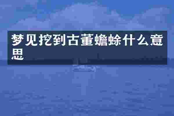 梦见挖到古董蟾蜍什么意思