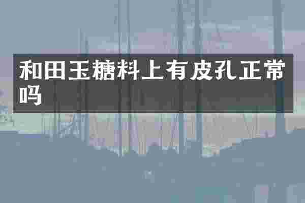 和田玉糖料上有皮孔正常吗