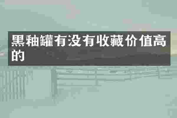 黑釉罐有没有收藏价值高的