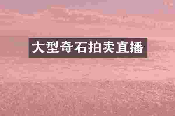 大型奇石拍卖直播