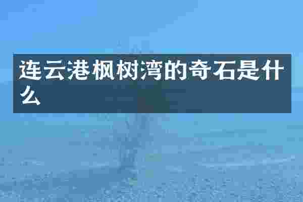 连云港枫树湾的奇石是什么