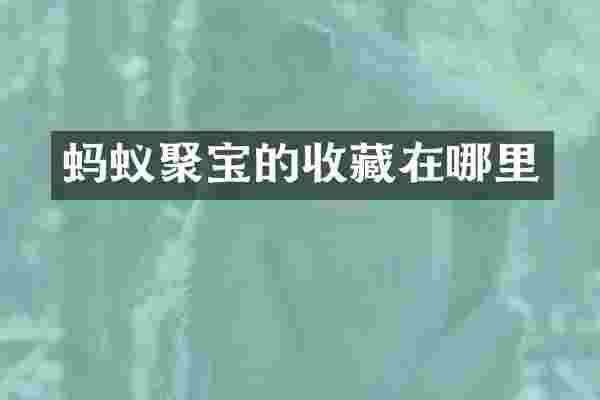 蚂蚁聚宝的收藏在哪里