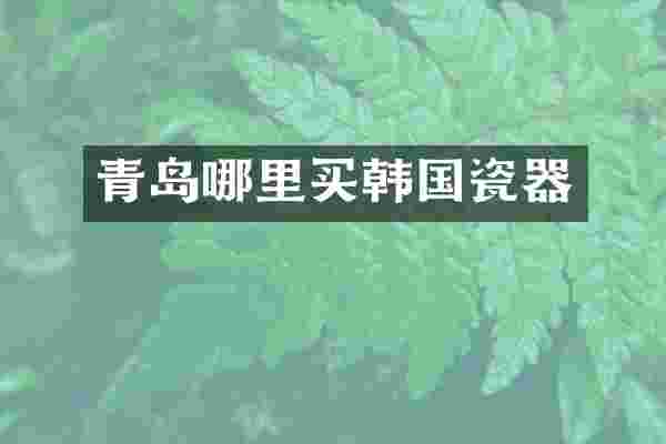 青岛哪里买韩国瓷器
