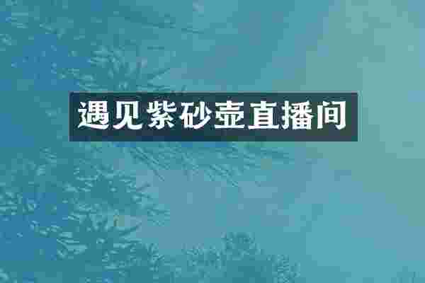 遇见紫砂壶直播间