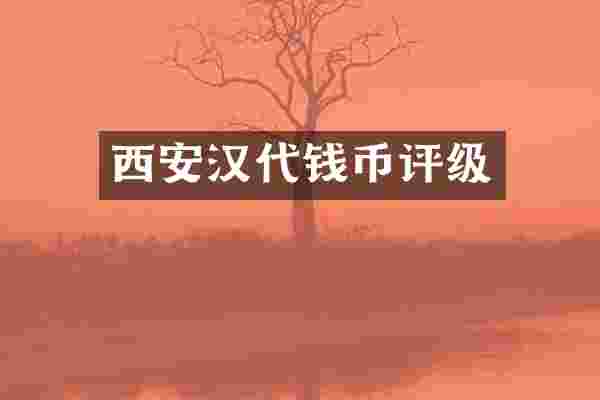 西安汉代钱币评级