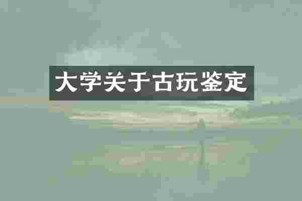 大学关于古玩鉴定