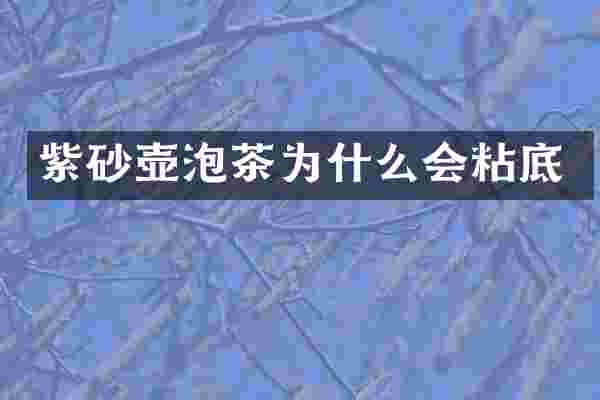 紫砂壶泡茶为什么会粘底