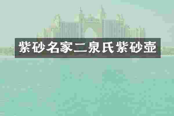 紫砂名家二泉氏紫砂壶