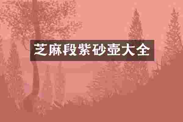 芝麻段紫砂壶大全