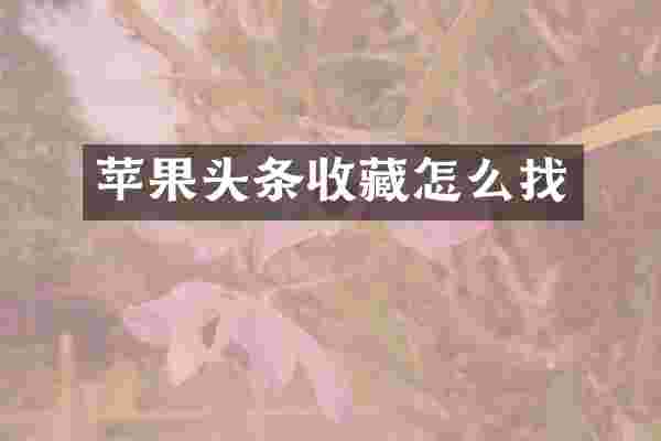 苹果头条收藏怎么找