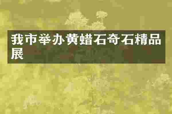 我市举办黄蜡石奇石精品展