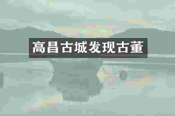 高昌古城发现古董
