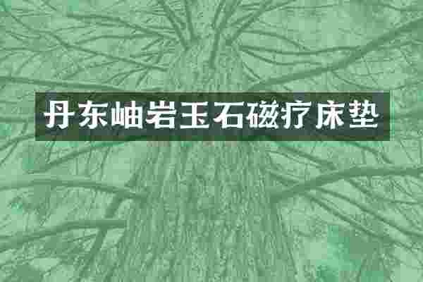 丹东岫岩玉石磁疗床垫
