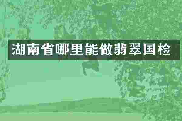 湖南省哪里能做翡翠国检