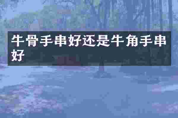 牛骨手串好还是牛角手串好
