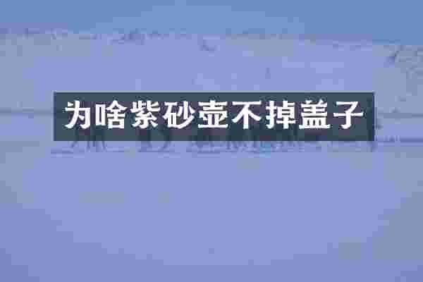 为啥紫砂壶不掉盖子