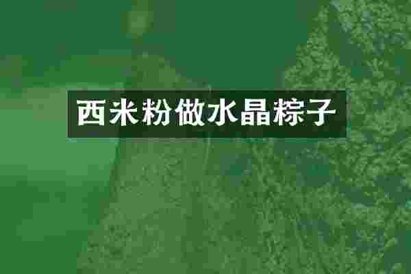 西米粉做水晶粽子