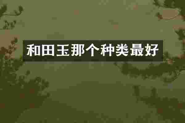 和田玉那个种类最好