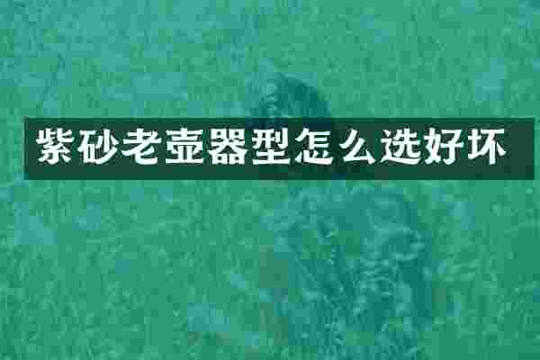 紫砂老壶器型怎么选好坏