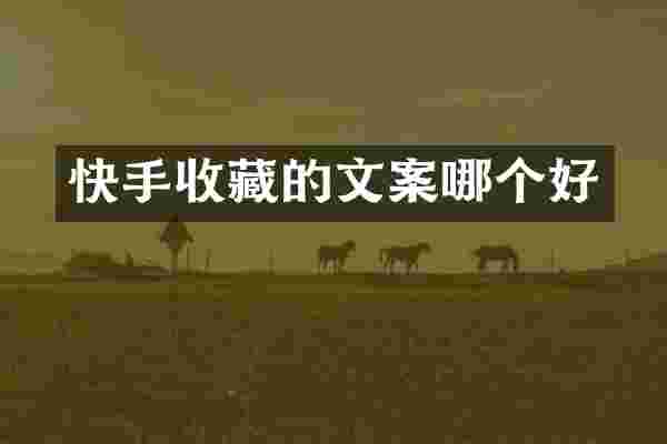 快手收藏的文案哪个好