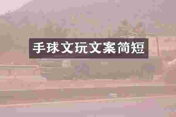 手球文玩文案简短