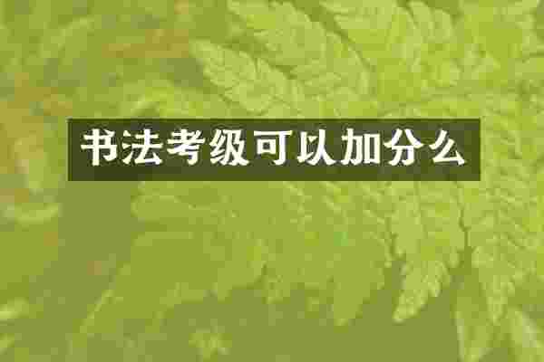 书法考级可以加分么
