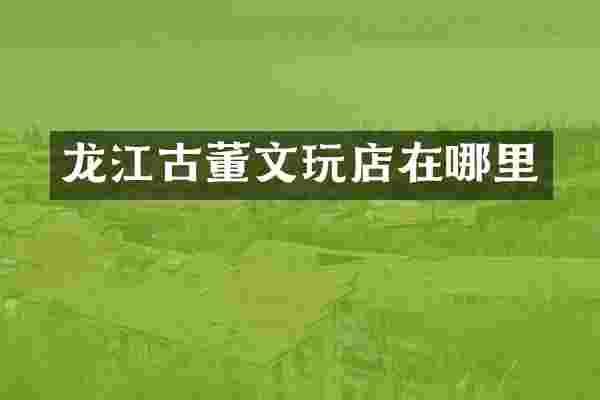 龙江古董文玩店在哪里