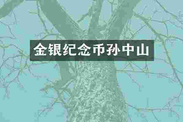 金银纪念币孙中山
