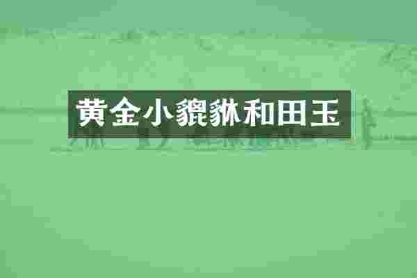 黄金小貔貅和田玉