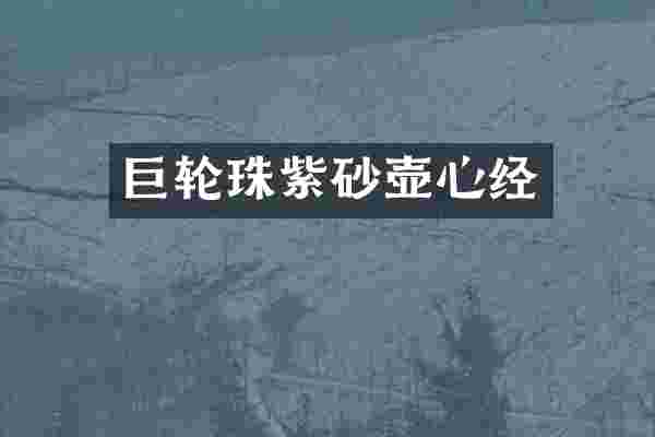 珠紫砂壶心经
