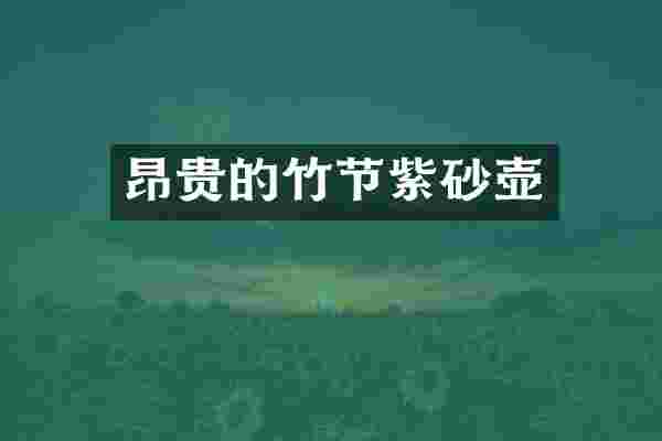 昂贵的竹节紫砂壶