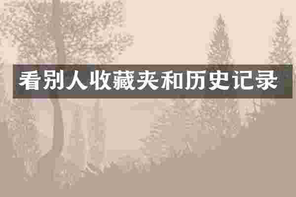看别人收藏夹和历史记录